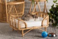 bali & pari Pets Furniture Pet Beds