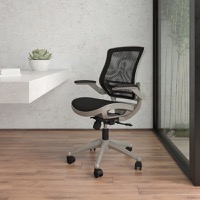 Warfield - Modern Adjustable Executive Office Chair for professional and home offices - Black Mesh/Graphite Silver Frame